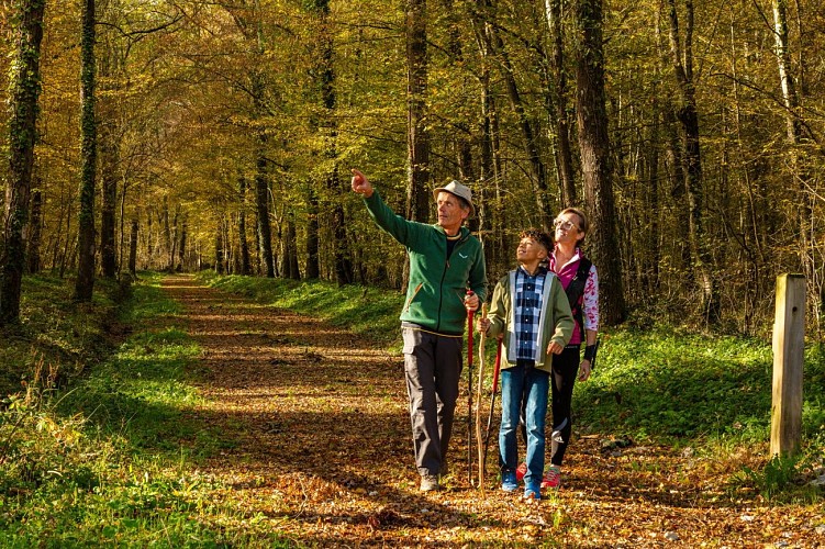 Betplan : Les sentiers de Pédaoucats (AAG PR2)_Betplan