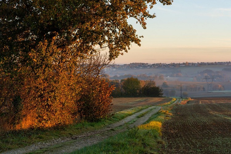 Betplan : Les sentiers de Pédaoucats (AAG PR2)_Betplan