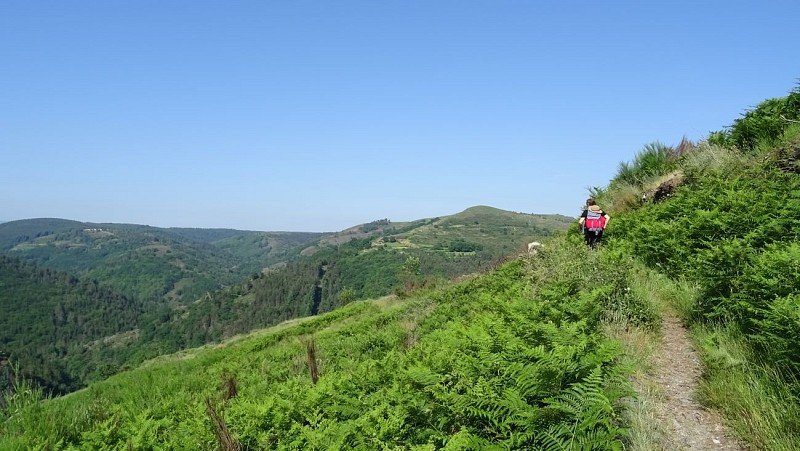 Itinéraire Méditerranée – Cévennes