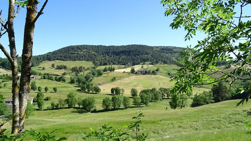 Itinéraire Méditerranée – Cévennes