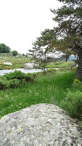 Itinéraire Méditerranée – Cévennes