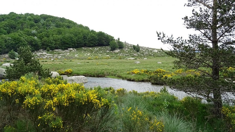 Itinéraire Méditerranée – Cévennes