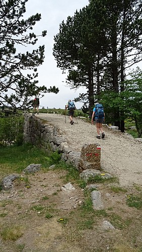 Itinéraire Méditerranée – Cévennes