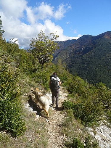 GR® 965 - Sur les pas des Huguenots itinéraire complet
