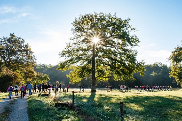 FRANCE - PINK OCTOBER - CHARITY WALK FOR BREAST CANCER SCREENING