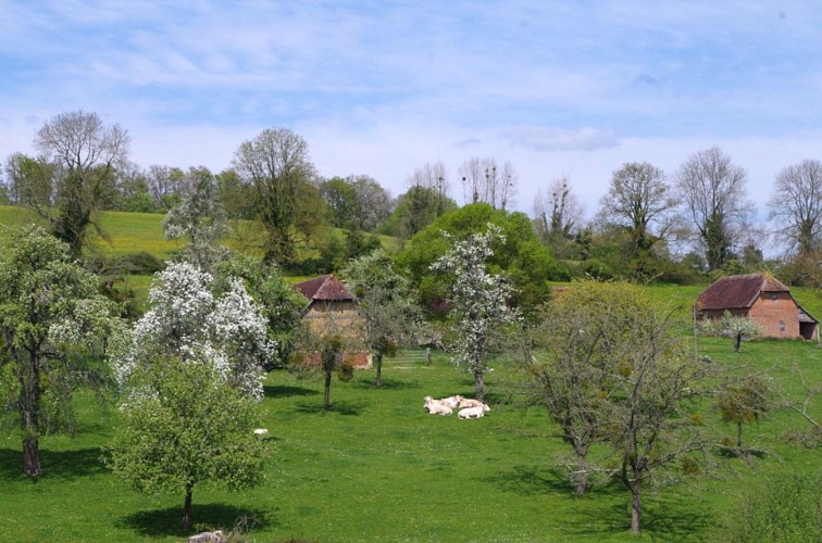 Les Champeaux-en-Auge