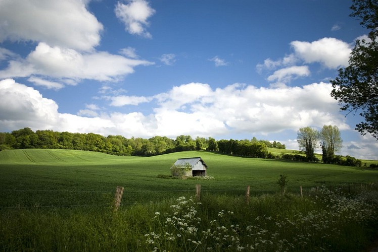Randonnée Pays du camembert