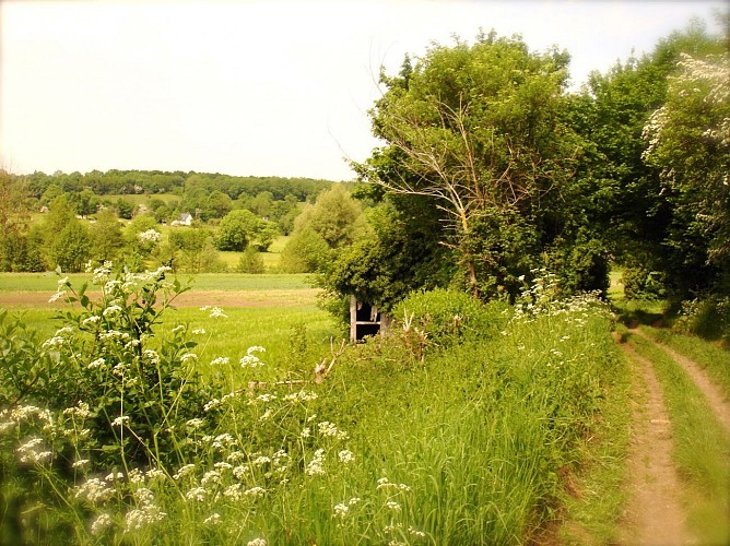 Randonnée Pays du camembert