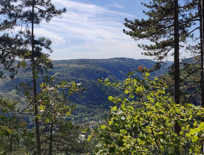 Sentier de Canayère_Trèves