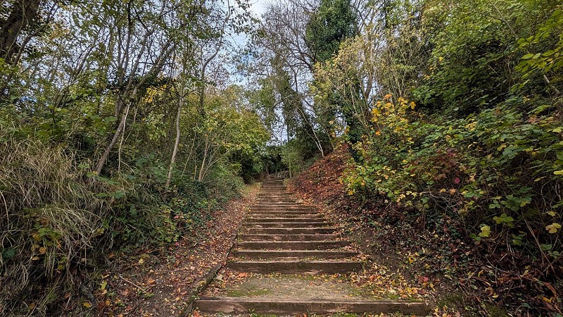 Sente des Valézys III