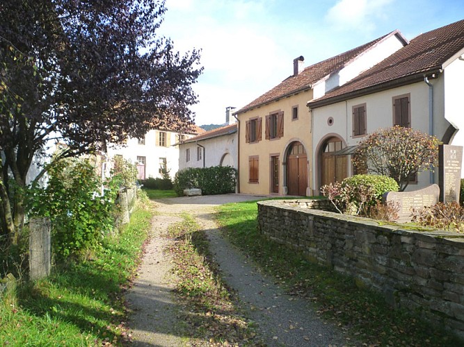 Circuit pédestre - Belval