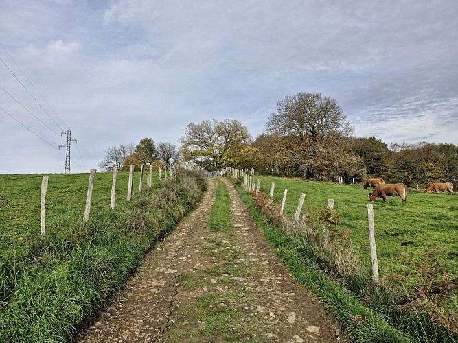 Circuit du pont de la roche - Vigeois