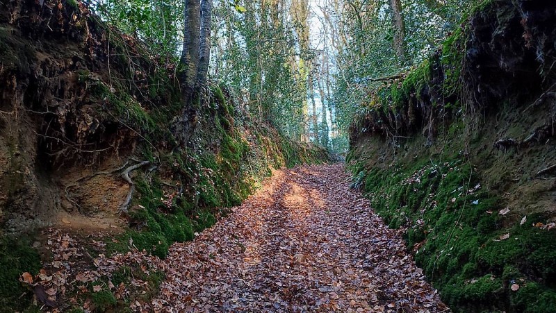 Chemin creux - La campagne de Plufur