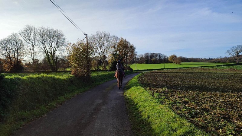 Balade à cheval | Plufur