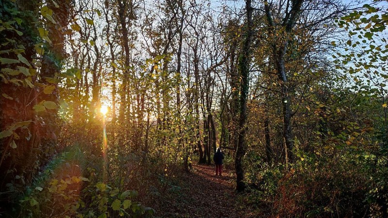 Soleil couchant - la campagne de Plufur