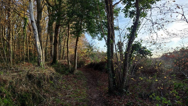 Chemin creux - La campagne de Plufur
