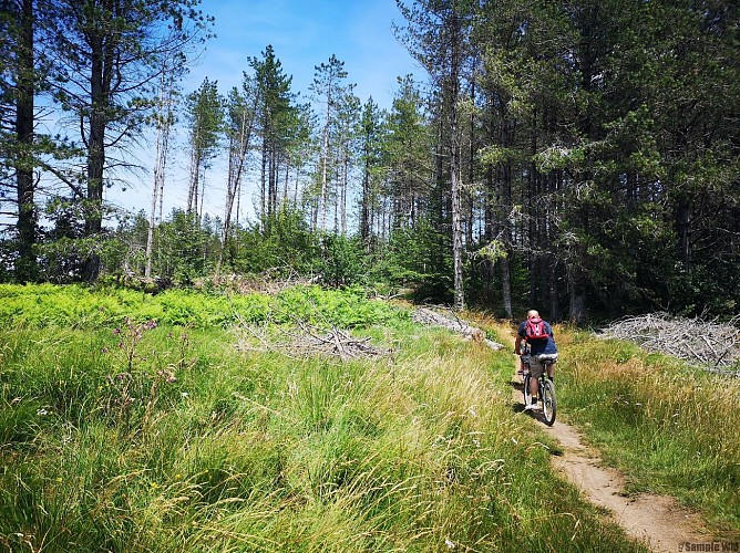 vtt_VESOLES_MB_281629