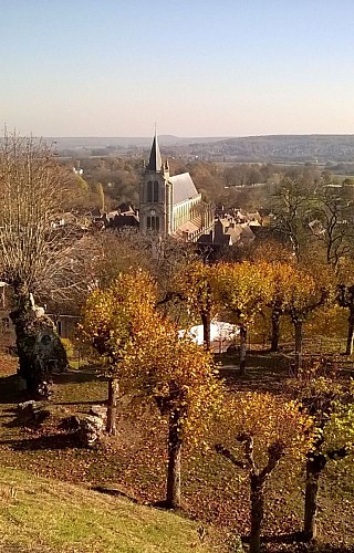 Montfort l'Amaury - L'Eglise vue de la Tour