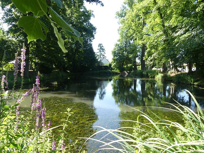 Autour du ru de Misery