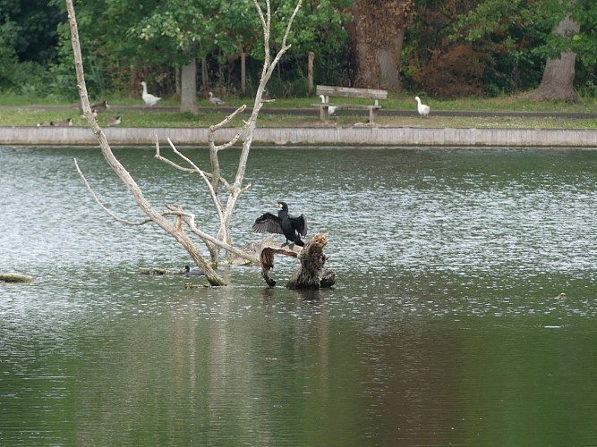 Les Étangs de Vert-le-Petit