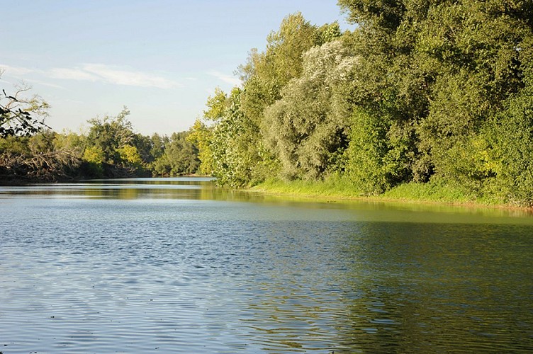L'Adour
