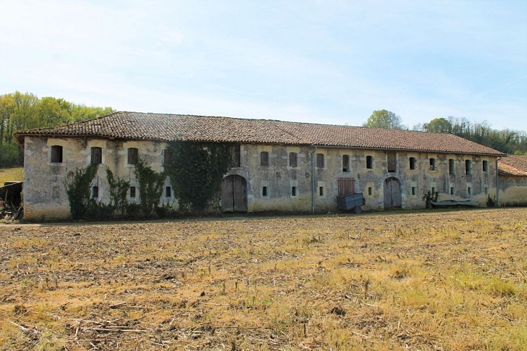 Chai de Larribère à Laurède