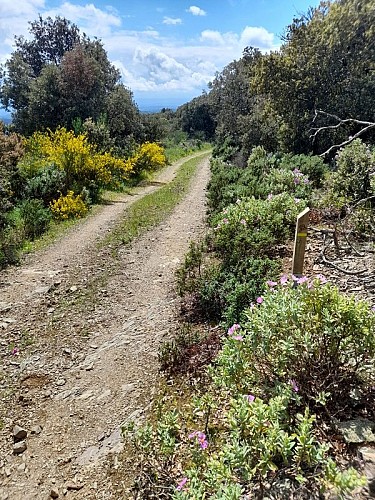 Le Sentier de la Truffe