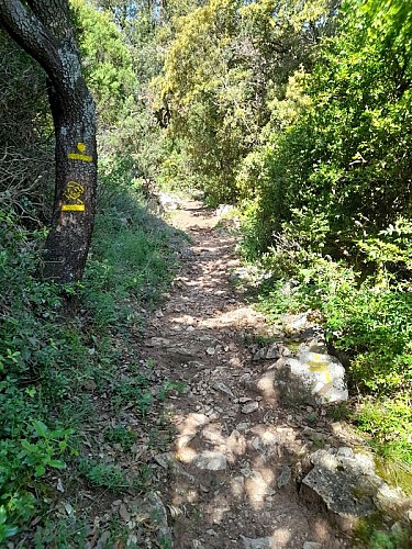 Le Sentier de la Truffe