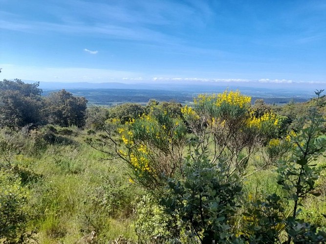 Le Sentier de la Truffe