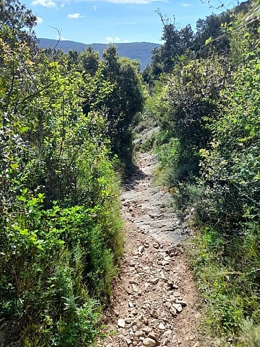 Le Sentier de la Truffe