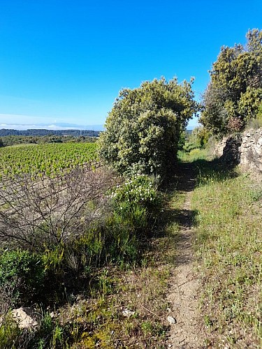 Le Sentier de la Truffe