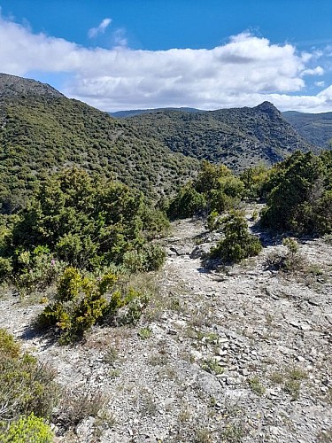 Le Sentier de la Truffe