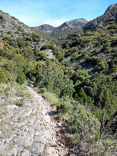 Le Sentier de la Truffe