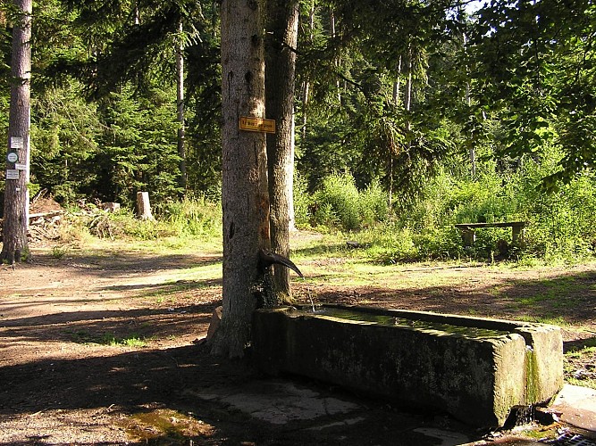 Circuit pédestre - La Criquette