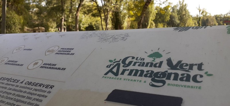 Un Grand Vert d'Armagnac Confidentiel : le voyage 2 en 1_Condom