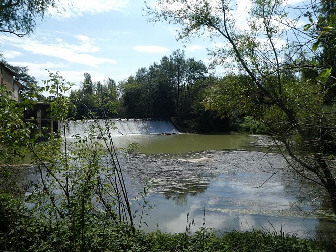 Un Grand Vert d'Armagnac Confidentiel : le voyage 2 en 1_Condom