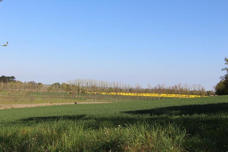 Campagne de Saint-Pern