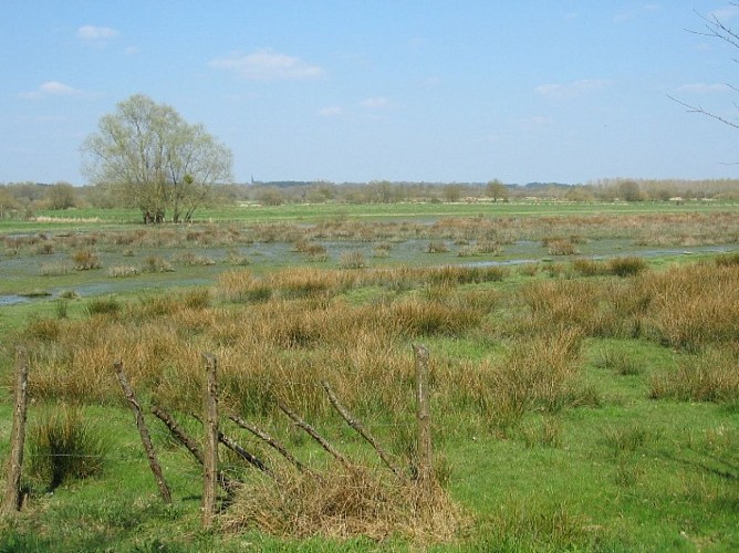 Marais de Vilaine - St Nicolas de Redon