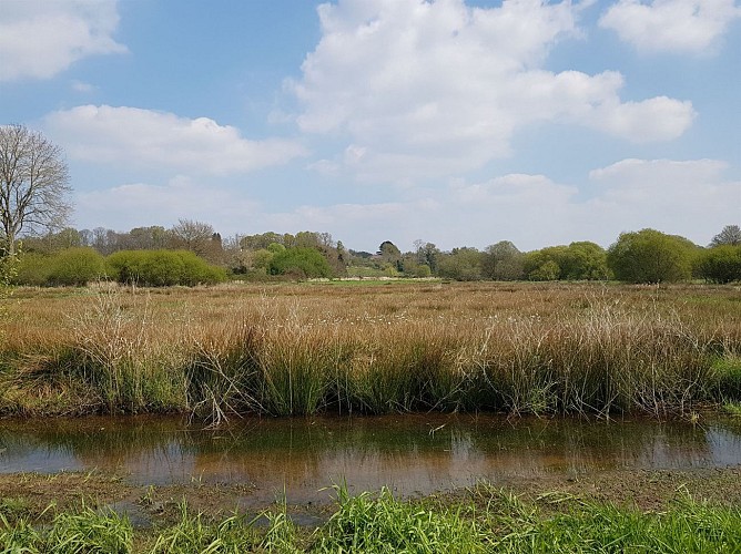 Marais de Fégréac