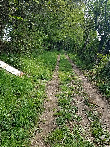 Site historique : Croix de la poche de St-Nazaire