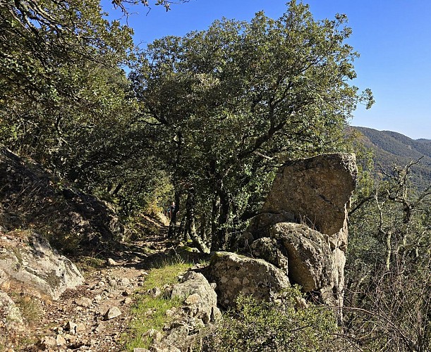 Mauripe Trail_Soudorgues