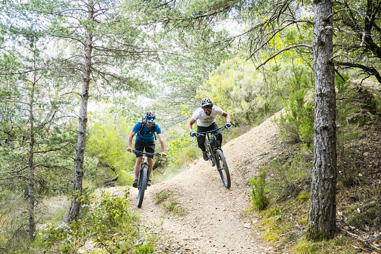 VTT
