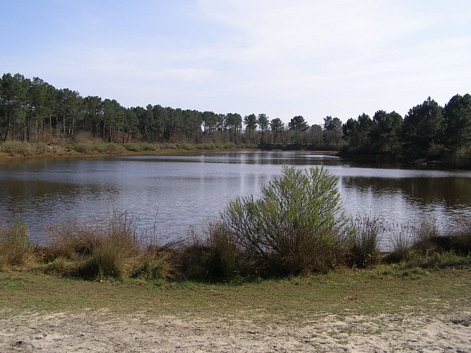 Balade à pied_lecanal_des_etangs