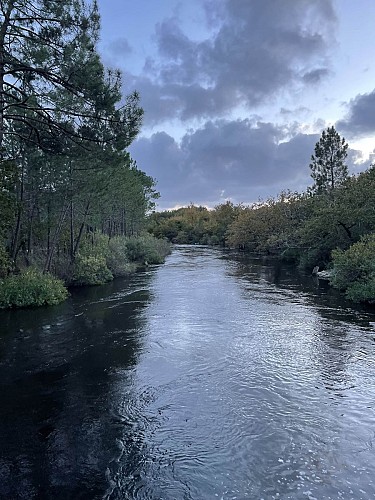 Balade à pied_lecanal_des_etangs