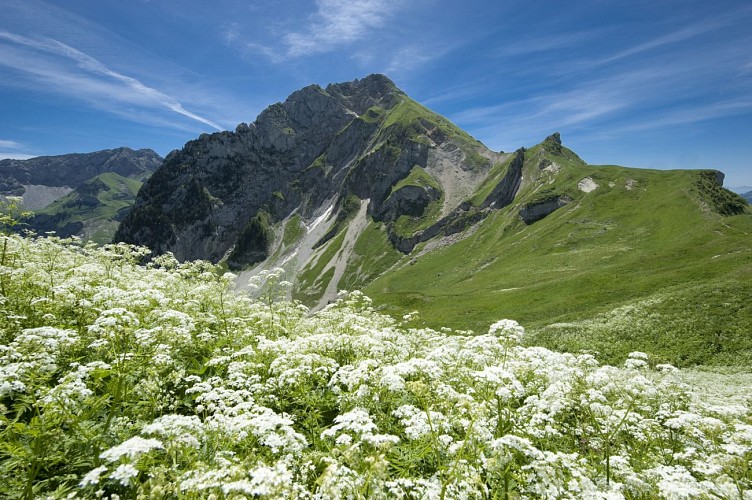 Mount Trélod