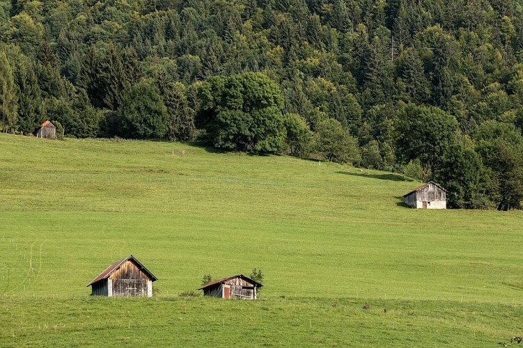 Paysage et village de Doucy-en-Bauges