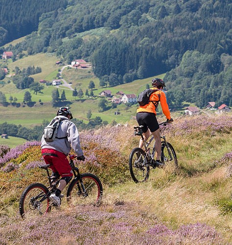 MTB TOUR N°2 LA GRANDE FOSSE