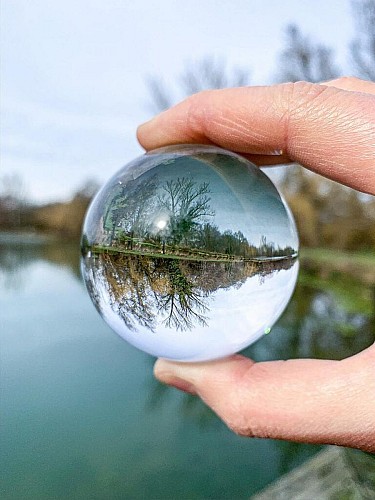Parcours Nature de l'étang de Montréal_Montréal