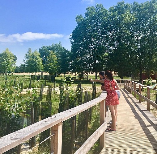 Parcours Nature de l'étang de Montréal_Montréal