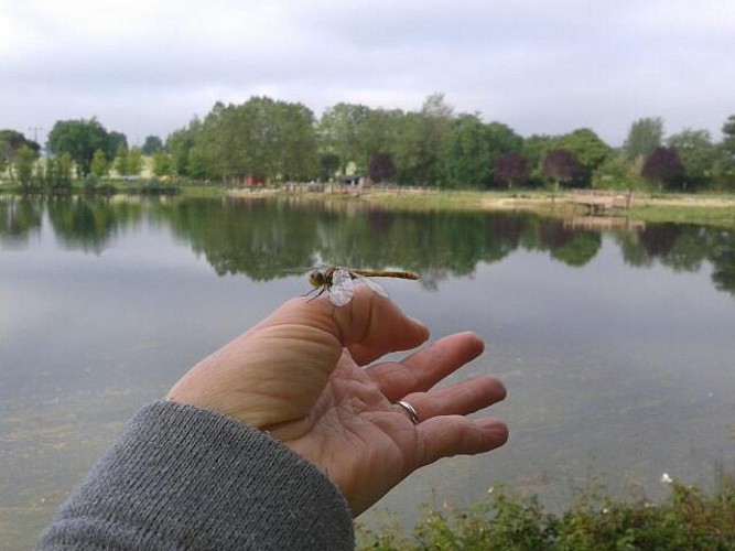 Parcours Nature de l'étang de Montréal_Montréal